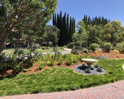 Irrigation