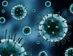 Norovirus